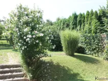 Prodej rodinného domu, Zlín - Příluky, Pančava, 232 m2