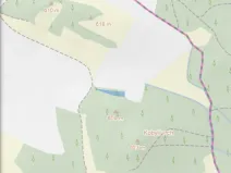 Prodej lesa, Čepřovice, 982 m2