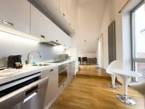Pronájem bytu 2+kk, Praha - Staré Město, Haštalská, 107 m2