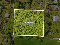 Prodej lesa, Petrov, 6490 m2