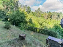 Prodej chaty, Pláně - Ondřejov, 70 m2