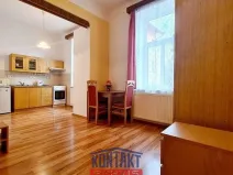 Pronájem bytu 1+kk, České Budějovice - České Budějovice 3, 32 m2