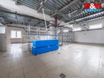 Prodej rodinného domu, Příbram - Příbram VI-Březové Hory, K Podlesí, 326 m2