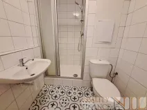 Pronájem bytu 1+kk, Plzeň, U Borského parku, 21 m2