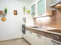 Prodej bytu 2+kk, Plzeň, U Velkého rybníka, 58 m2