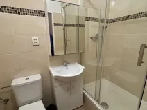 Pronájem bytu 1+1, Praha - Vinohrady, Řipská, 47 m2