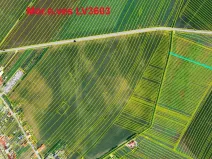 Prodej podílu pole, Moravská Nová Ves, 890 m2