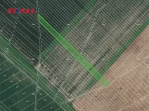 Prodej pole, Josefov, 4449 m2