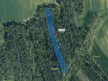 Dražba lesa, Koloveč, 3368 m2