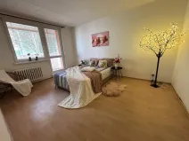 Prodej bytu 3+1, Kroměříž, Francouzská, 78 m2