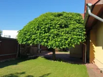 Prodej rodinného domu, Jesenice, Vestecká, 369 m2