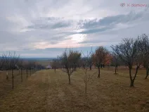 Prodej zahrady, Kunovice, Pod Kostelem, 3859 m2