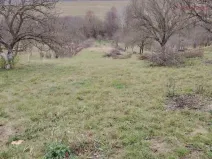 Prodej zahrady, Kunovice, Pod Kostelem, 3859 m2