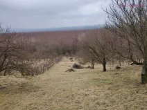 Prodej zahrady, Kunovice, Pod Kostelem, 3859 m2