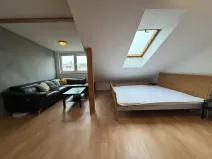 Pronájem bytu 1+1, Brno, Jircháře, 49 m2