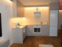 Pronájem bytu 2+kk, Soběšovice, 57 m2