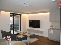 Pronájem bytu 2+kk, Soběšovice, 57 m2