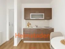 Pronájem bytu 1+kk, Český Těšín, Hornická, 28 m2
