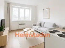 Pronájem bytu 1+kk, Stonava, Hořany, 21 m2