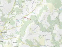 Dražba lesa, Vilice, 2384 m2