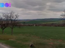 Prodej pole, Troubky-Zdislavice - Troubky, 5195 m2