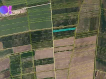 Prodej pole, Přibice, 9400 m2