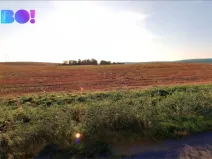 Prodej pole, Rakov, 6461 m2