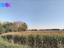 Prodej pole, Josefov, 9970 m2