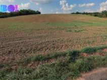 Prodej pole, Ořechov, 10874 m2