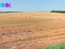 Prodej pole, Ořechov, 10874 m2