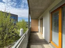 Pronájem bytu 2+kk, Brno, Sochorova, 60 m2