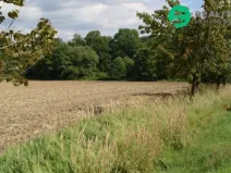 Prodej pole, Mokré Lazce, 4114 m2