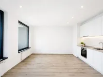 Pronájem bytu 1+kk, Praha - Žižkov, Olgy Havlové, 40 m2