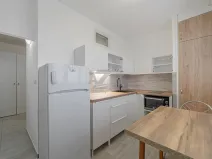 Prodej bytu 1+1, Ostrava - Hrabůvka, Dr. Martínka, 33 m2