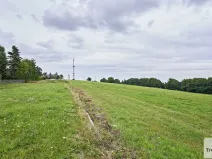 Prodej louky, Osek, 1013 m2