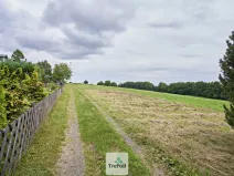 Prodej louky, Osek, 1012 m2