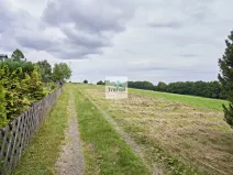 Prodej louky, Osek, 1012 m2