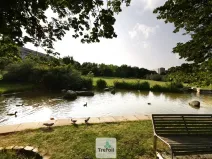 Prodej bytu 1+kk, Praha - Vršovice, 23 m2