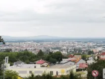 Prodej pozemku pro bydlení, Srubec, 3200 m2