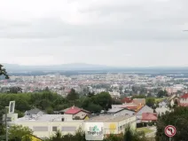 Prodej pozemku pro bydlení, Srubec, 3200 m2