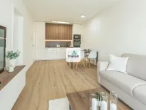 Prodej bytu 2+kk, Kladno, 47 m2