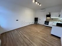 Pronájem bytu 2+kk, Olomouc, Riegrova, 50 m2