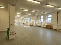 Pronájem skladu, Ostrožská Nová Ves, 1272 m2
