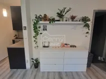 Pronájem bytu 1+kk, Chrudim, Podkopanický mlýn, 30 m2