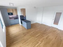 Prodej bytu 2+kk, Praha - Žižkov, U Viktorie, 63 m2