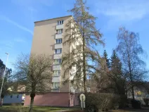 Prodej bytu 2+1, Písek, Dr. M. Horákové, 55 m2