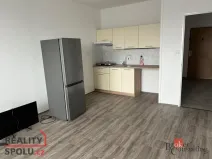 Pronájem bytu 1+kk, Rychnov nad Kněžnou, 28 m2