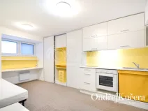 Pronájem bytu 1+kk, Praha - Nusle, K podjezdu, 29 m2