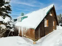 Prodej apartmánu, Říčky v Orlických horách, 500 m2