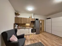 Pronájem bytu 1+kk, Olomouc, Lipenská, 32 m2